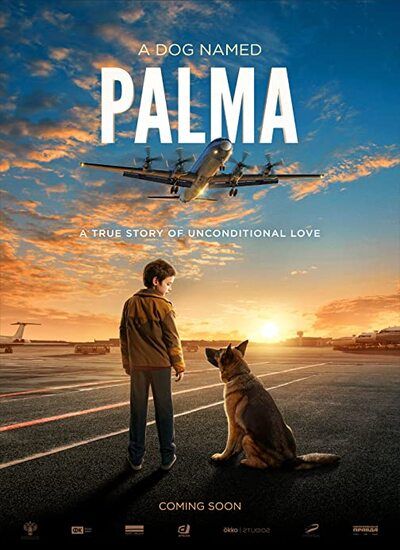 دانلود فیلم پالما دوبله فارسی Palma 2021